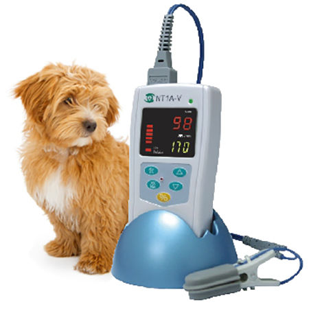 Handgerät-Pulsoximeter - NT1A-V - Solaris Medical Technology, Inc. - Tisch / für Veterinärmedizin / weiß