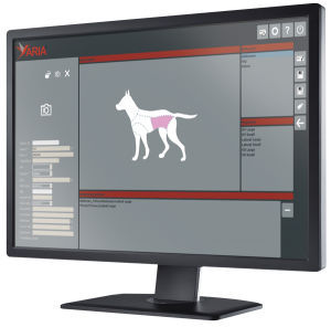 Software für veterinäres Röntgen - Aria  - Foschi - Management / Visualisierung / Diagnose