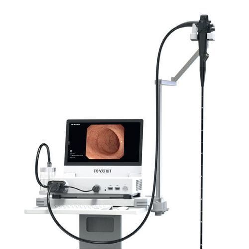 Video-Gastroskop / mit Arbeitskanal - GASTRO CAT-SDOG - Foschi