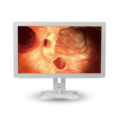 Medizinisch Monitor - MMS-21C series - BriteMED Technology - für Endoskopie / Full HD / VGA