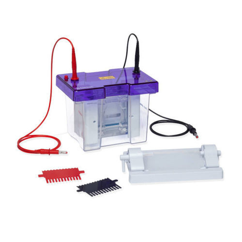 Elektrophoresesystem für Proteine - VS10 - Cleaver Scientific - vertikal / Tisch