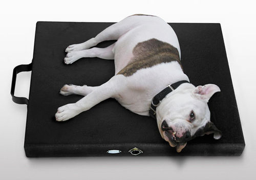 Magnettherapieeinheit für Hunde - Centurion Kennel  - Centurion Systems - Matratze
