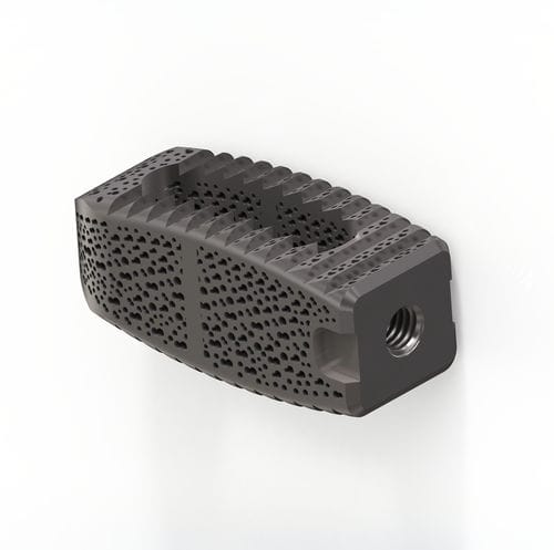 LWS-Zwischenwirbelimplantat - TERRACOTTA PLIF - Osimplant - dorsaler Zugang / Titan