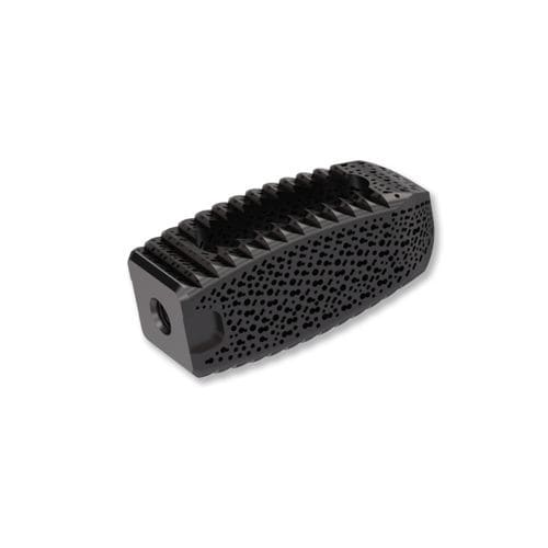 LWS-Zwischenwirbelimplantat - TERRACOTTA PLIF - Osimplant - dorsaler Zugang / Titan