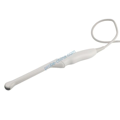 Endokavitär-Ultraschallsonde - Shenzhen Shenchao Transducer