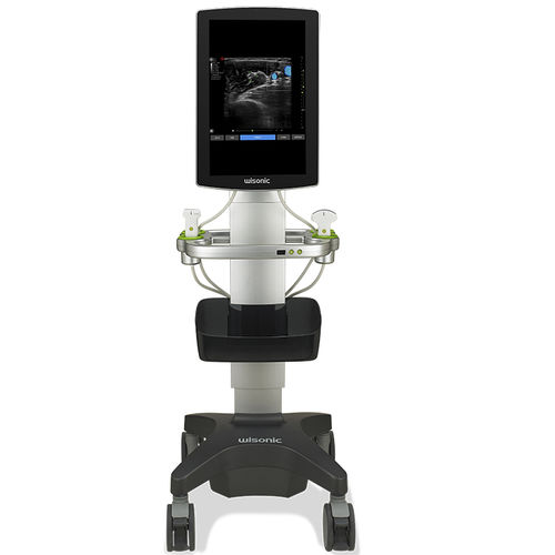Ultraschallgerät mit Konsole - Navi - Wisonic - für Ultraschalldiagnostik in Anästhesie und Intensivmedizin / Schwarz-Weiß / mit Touchscreen