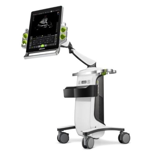 Plattformmontiertes Ultraschallgerät - Carnation - Wisonic - für Ultraschalldiagnostik in der Notfallmedizin / Schwarz-Weiß / mit Touchscreen