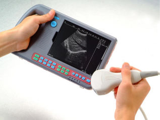 Tierärztliches Ultraschallsystem / Handgerät - TENKO MEDICAL SYSTEM CORP - Multifunktion