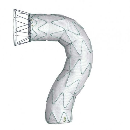 Thoraxaorta Stentgraft - DOMINUS® - Braile Biomedica - Polyester