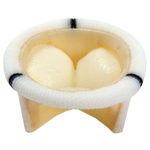 Biologischer Aortenklappenersatz / Trikuspidal - 8316 - Braile Biomedica - Pulmonal / Mitral / Aorta