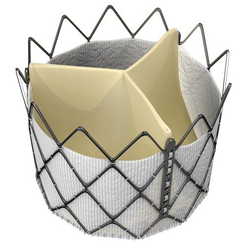 Biologischer Aortenklappenersatz / Aorta - INOVARE® - Braile Biomedica - aus Rindergewebe / nahtlos