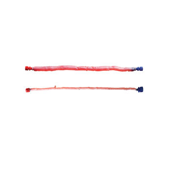 Vaskuläre Bioprothese / Lungenarterie - CryoVein® PC - Cryolife - allograft / für Kinder