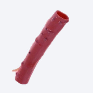 Vaskuläre Bioprothese / Lungenarterie - CryoGraft®  - Cryolife - allograft / mit Ventil