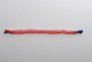 Femoralvene vaskuläre Bioprothese - CryoVein®  - Cryolife - allograft