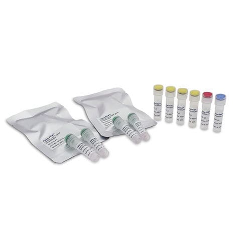 COVID-19-Testkit - Palm PCR™ - Ahram Biosystems, Inc. - SARS-COV-2 / Echtzeit