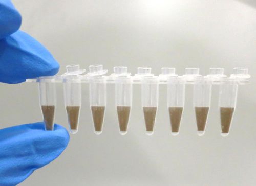 Reagenzglas für PCR - 10011 - JN Medsys Pte. Ltd. - Labor / mit V-förmigem Boden