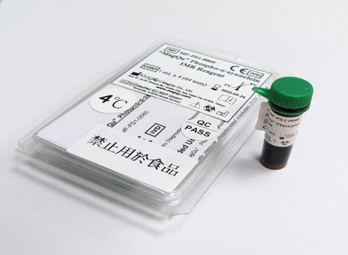Alpha-Synuclein-Reagenz - MF-PS1-0060 - MagQu Co., Ltd. - Antikörper / zur Immunanalyse / Eisen