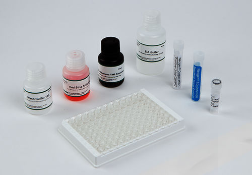Testkit für forensische Anwendungen - 101719-1 - Neogen Corporation Inc. - für Toxikologie / für Qualitätskontrolle / Blut