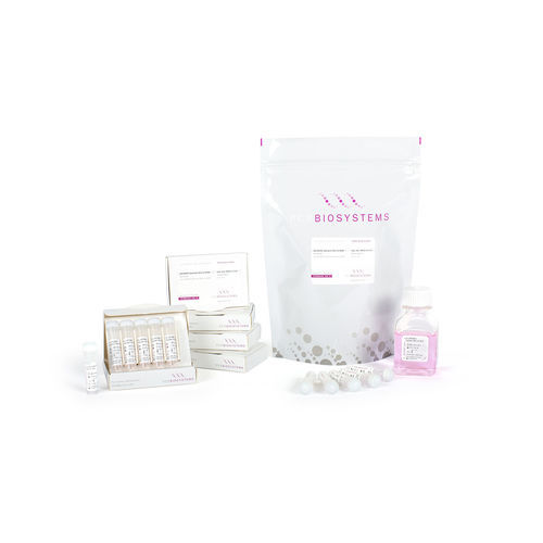 DNA-Polymerase-Reagenzkit - qPCRBIO SyGreen Mix - PCR Biosystems Ltd. - Farbstoff / Nukleinsäure / für Echtzeit-PCR