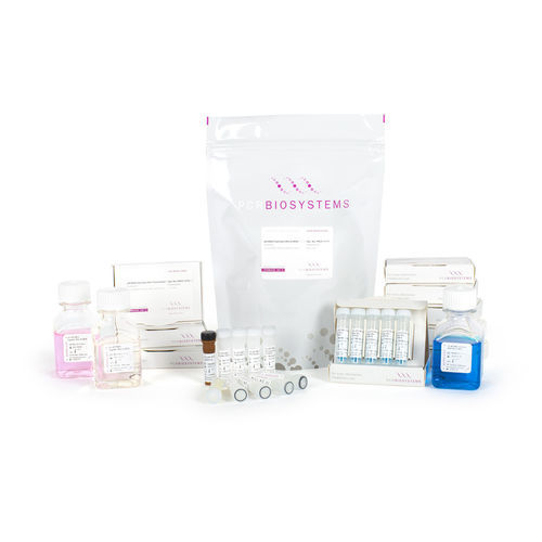 DNTP-Lösung-Reagenzkit - PB90. series - PCR Biosystems Ltd. - Taq-Polymerase / RNase-Inhibitor / Diagnose