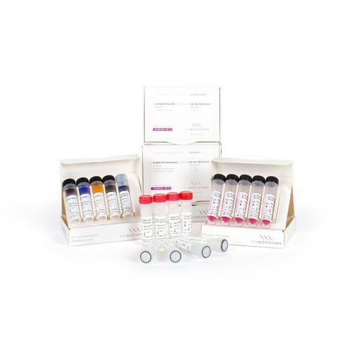 Enzyme-Reagenzkit - VeriFi™ - PCR Biosystems Ltd. - DNA-Polymerase / Taq-Polymerase / Farbstoff