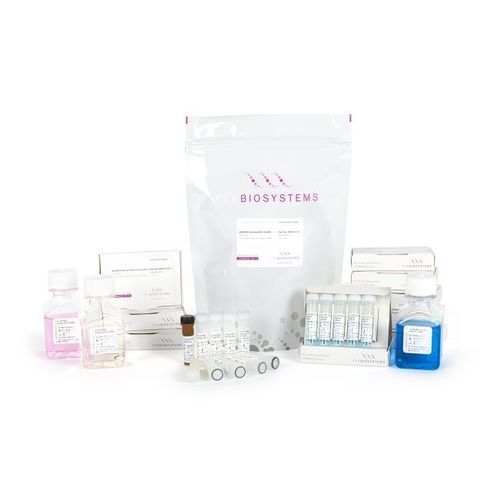 Farbstoff Reagenzkit - Clara™ Probe Purple Mix - PCR Biosystems Ltd. - für qPCR / mit Warmstart