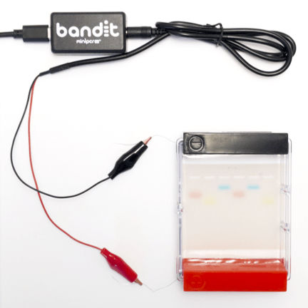 Elektrophoresesystem für DNA - Bandit™ - Amplyus - tragbar
