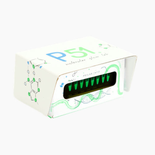 Fluoreszenzgeldokumentationssystem - P51™ - Amplyus - für DNA / für Proteine / für RNS