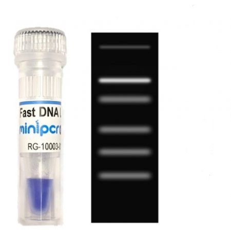 Farbstoff Reagenz - miniPCR bio™ - Amplyus - DNA-Skala / für Elektrophorese / flüssig