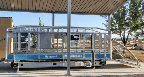 Veterinär-Laufband / für Pferde - ELITE - Sascotec