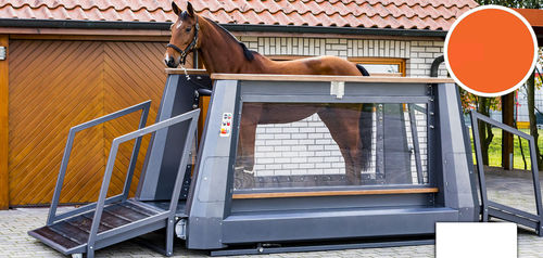 Veterinär-Laufband / für Pferde - ROYAL - Sascotec