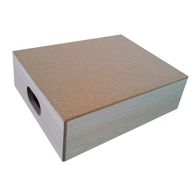 Stufentritt mit 1 Stufe - HMP-TS30920 - Home Medical Products Inc.