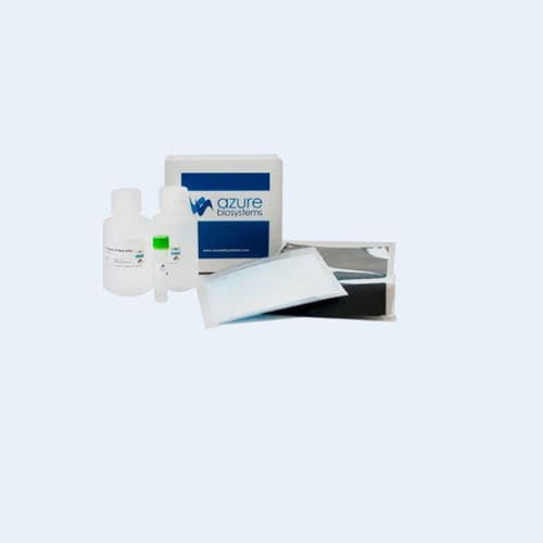 Pufferlösungs-Reagenzkit - AzureSpectra - Azure Biosystems - Antikörper / für Western Blot / flüssig