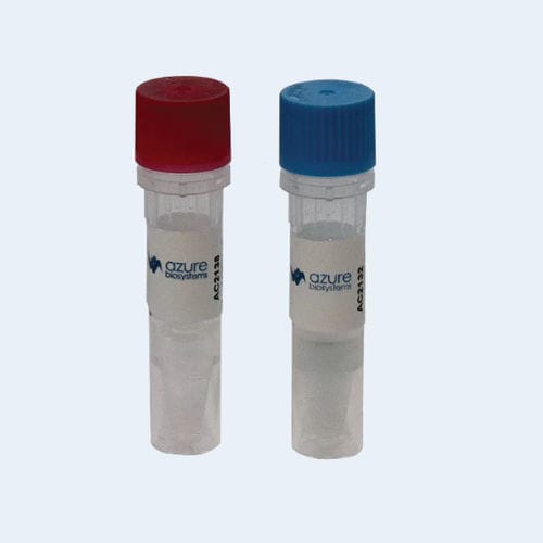 Antikörper - AC21 series - Azure Biosystems - für Immunotestverfahren / flüssig