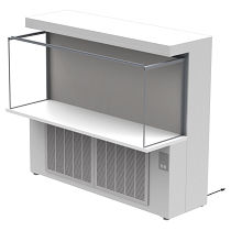 Labor-Sterilbank - CAP301 - Clean Air Products - für die Pharmaindustrie / bodenstehend / HEPA