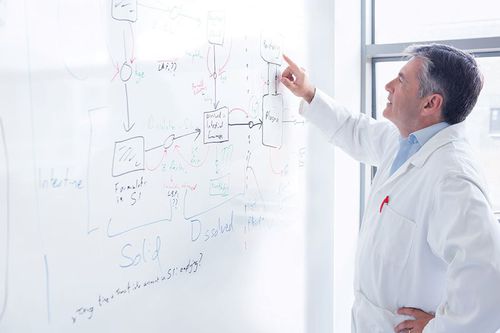 Wandverstärkung für Gesundheitseinrichtungen - Whiterock™ Whiteboard - ALTRO LTD - für OP-Saal