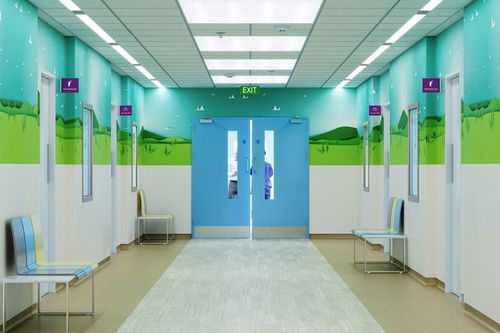Servicetür - doorsets™ - ALTRO LTD - für OP-Bereich / Labor / einflügelig