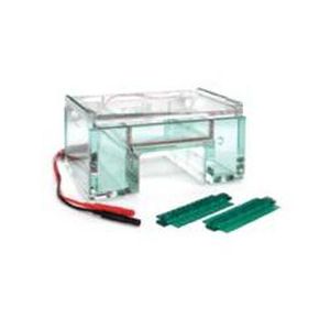 Vertikale Elektrophoresekammer - B3-G-150 - Gel Company - Tisch