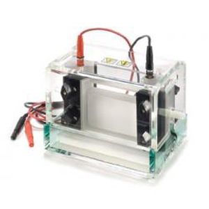 Tisch-Elektrophoresekammer - P8-1010-NG - Gel Company
