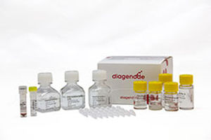 Testkit für Krebserkrankungen - MagMeDIP - Diagenode - Gene / Plasma / für Zellen