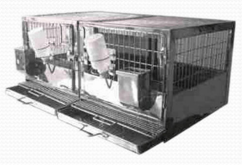 Tierkäfig für Kaninchen - RBB-S-T-3 - Meditech Technologies India - 2 Abteile