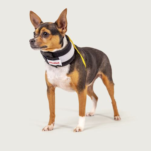 Tierhalskrause für Hunde - BiteNot™ - KVP EU Ltd - regelbar