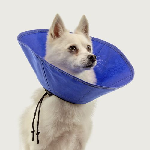 Kragen für Hunde - EZ Soft™ - KVP EU Ltd - regelbar / waschbar