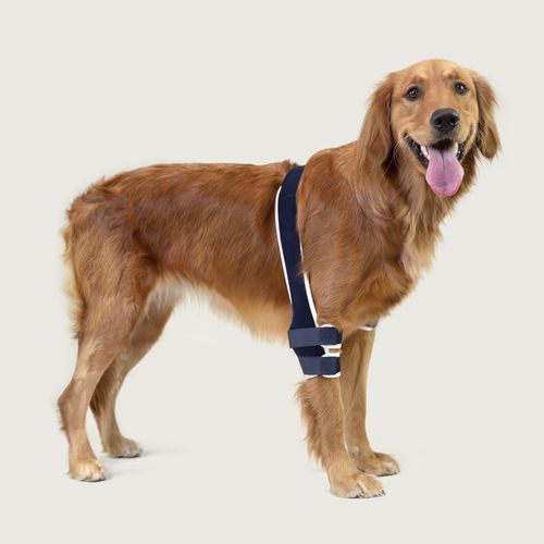 Rehabilitations-Tragegurt - Balto® Soft - KVP EU Ltd - für Veterinärmedizin
