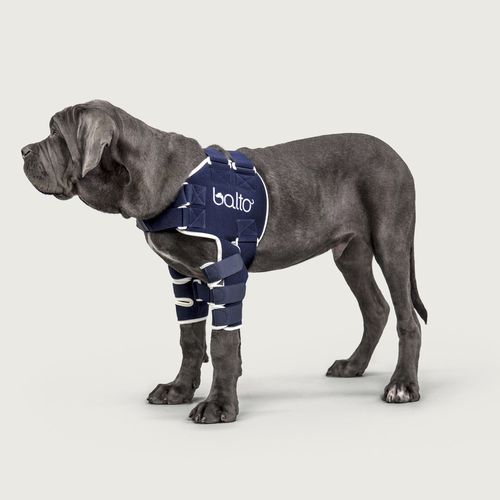 Rehabilitations-Tragegurt - Balto® Lux - KVP EU Ltd - für Veterinärmedizin / für Hunde