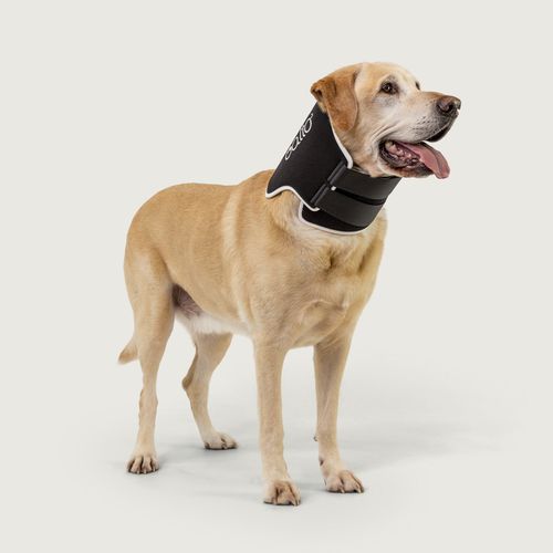 Tierhalskrause für Hunde - Balto® Neck Eco - KVP EU Ltd - mit Klettverschluss / waschbar