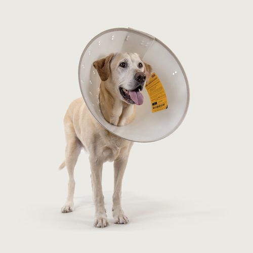 Hundekragen - BetterCollars™ - KVP EU Ltd - regelbar