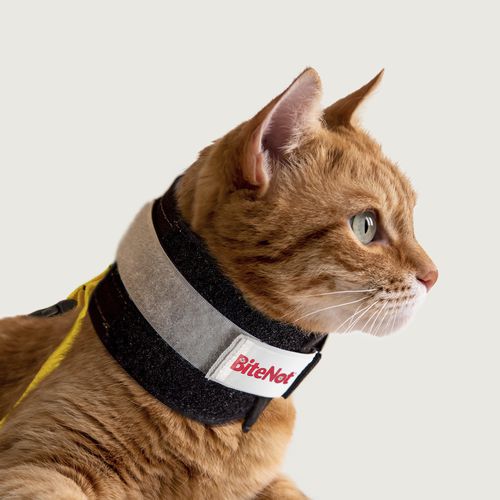 Tierhalskrause für Katzen - BiteNot™ - KVP EU Ltd - regelbar