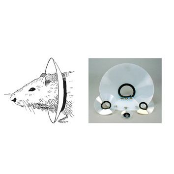 Kragen für Nagetiere - EC201V-10, EC4 Series - Kent Scientific - waschbar / regelbar / für die Tierforschung