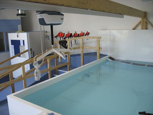 Bodenstehendes Schwimmbecken für Rehabilitation - Bespoke - Dogpools - für Veterinärmedizin